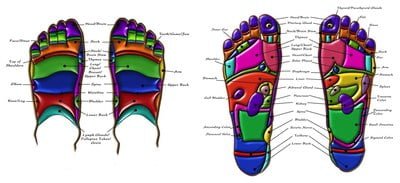 Reflexology Foot