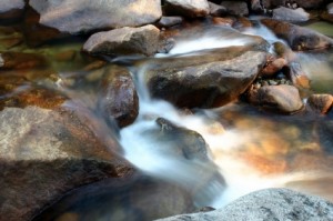 Running Water in River