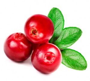 Fresh Cranberries