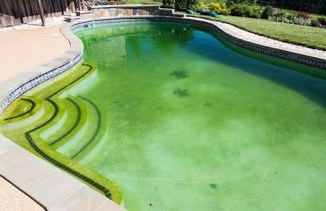 Beating Algae Blooms: Prevention and Rapid Recovery
